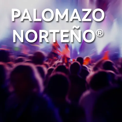 Experiencia 15 agosto Palomazo Norteño Box Oro Estadio GNP CDMX + Estacionamiento