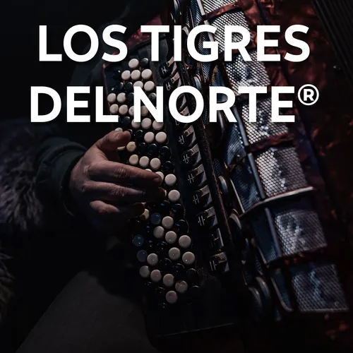 Experiencia 27 junio Tigres del Norte Box Oro Estadio GNP CDMX + Estacionamiento