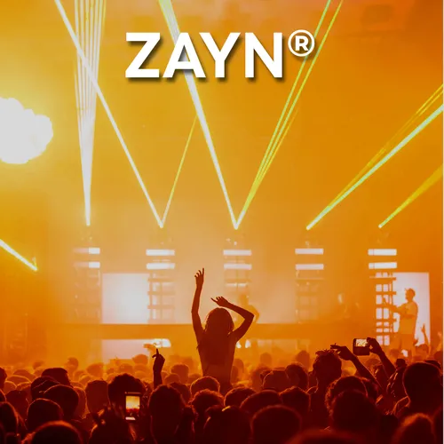 Experiencia 20 junio ZAYN Box Oro Estadio GNP CDMX + Estacionamiento